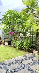 Highland Residences (D19), Terrace #524167761